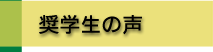 奨学生の声